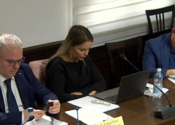 Komisioni i Ekonomisë: Braçe kritikon situatën - Metalurgët po bëhen kamarierë dhe bujqit sanitarë, Shqipëria nuk eksporton më.