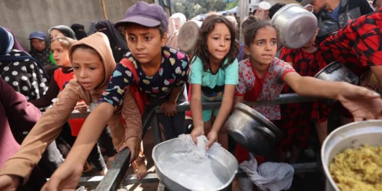 Kriza ushqimore në Gaza vazhdon të jetë ‘katastrofike’, thotë kreu i OBSH-së: Ushqimi është i pamjaftueshëm dhe uria vazhdon të përkeqësohet.