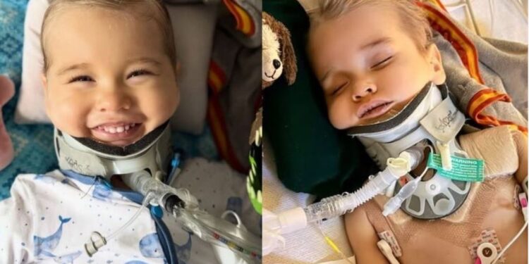 Kur mrekullia i jep fund shkencës, 2-vjeçari “kthen” jetë dhe përcjellë një mesazh shprese.