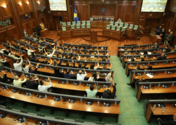 LVV-ja deklaron se do të mbështesë vetëm Rashiqin për kandidaturën.