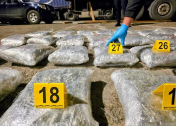 Marrin mbi 200 kg drogë në kamion, një person i arrestuar në Prishtinë