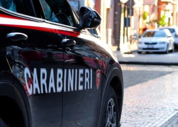 Nënë 25-vjeçare heq jetën dy foshnjave të saj dhe fsheh trupat në dollap; zbardhen detaje tronditëse nga ngjarja.