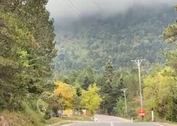 Pas eksplorimit të zonës, nënë e bir nga Suedia humbasin në Llogara, policia dhe emergjencat civile nisin kërkimin.