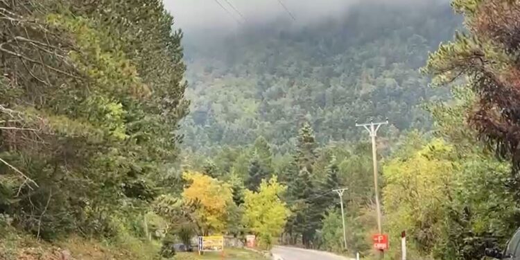 Pas eksplorimit të zonës, nënë e bir nga Suedia humbasin në Llogara, policia dhe emergjencat civile nisin kërkimin.