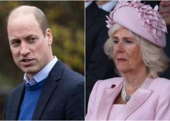 Roli i William dhe Camillës në eliminimin e titujve nderues për Princin Andrew