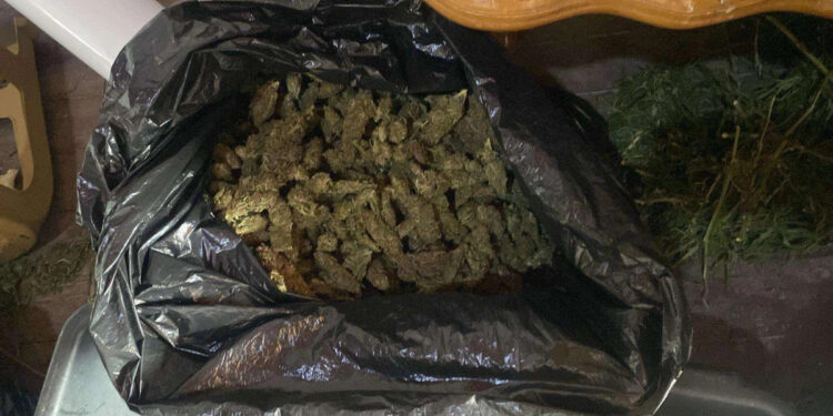 Shtatë shqiptarë të arrestuar në Podujevë për përfshirje në veprimtari me droga