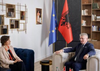 Takimi me ambasadoren zvicerane, Gjekmarkaj: Parlamenti është në kontroll të huaj, theksova shqetësimin e vogël për zgjedhjet e 11 majit.