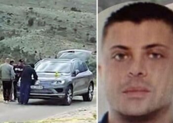 Tepelenë: Biznesmeni italian vritet, i dyshuari për krimin dorëzohet dhe i jep armën policisë.