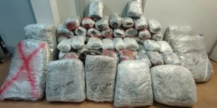 Trafiku i drogës nga Shqipëria në Greqi: 193 kg marijuanë kapen në kufi, shoferi braktis automjetin dhe arratiset.