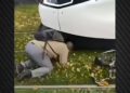 Video/ Dëmi nën tramvaj në Strasburg: një fëmijë 8-vjeçar shpëtohet pa lëndime të rënda