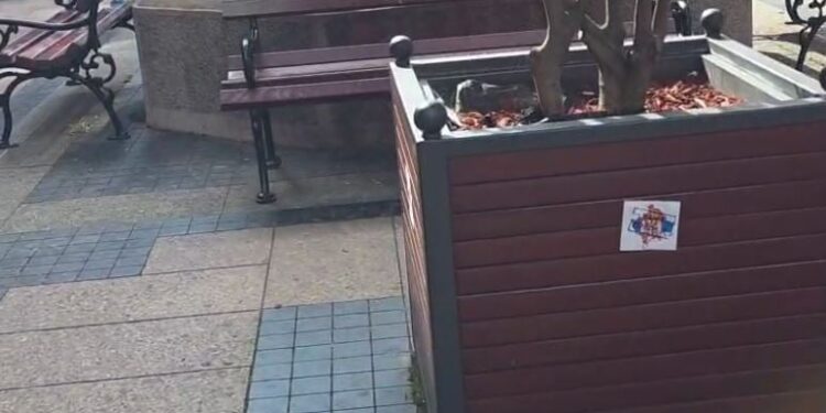 Video/ Serbët vazhdojnë provokimet, shfaqin hartën e Kosovës me flamurin e Serbisë në qytetin ku ndodhet hoteli i ekipit kombëtar shqiptar