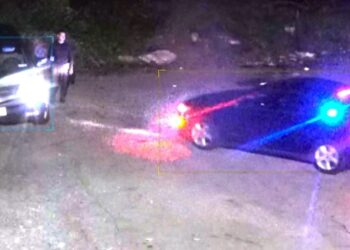 Video/ Shqiptari arrestohet në Nju Jork pasi hidhi mbeturinat e biznesit të tij në park.