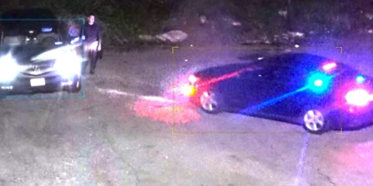 Video/ Shqiptari arrestohet në Nju Jork pasi hidhi mbeturinat e biznesit të tij në park.