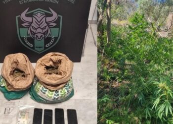 Zbulohet një tokë me drogë në Greqi, arrestohen dy shqiptarë