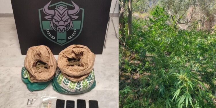 Zbulohet një tokë me drogë në Greqi, arrestohen dy shqiptarë