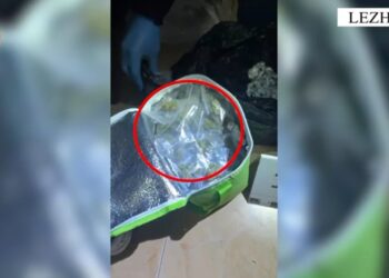 43-vjeçari në Lezhë arrestohet pasi tentoi të ikte nga policia me biçikletë dhe hodhi çantën me kanabis në lumë
