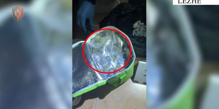43-vjeçari në Lezhë arrestohet pasi tentoi të ikte nga policia me biçikletë dhe hodhi çantën me kanabis në lumë