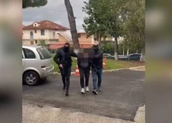 43-vjeçari nga Fieri i arrestuar për ekstradim në Itali si pjesë e një grupi tregtarësh të drogës