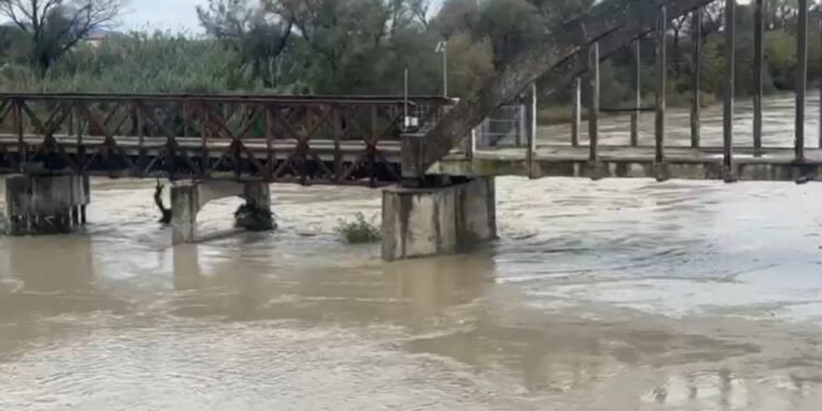 Alarm në Fier: Prurjet e lumit Vjosa rriten, disa fshatra në rrezik përmbytjeje.