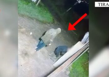 Arrestohet sërish një burrë 38-vjeçar në Vorë, violon masën e sigurie për veprën penale të njëjtë.