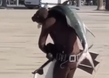 E pazakontë në Vlorë: Peshkatari arrin të kapë një peshk 20 kilogramësh, e hedh mbi supe dhe shëtit në breg.