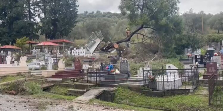 Era e fuqishme shemb një pemë në varrezat e qytetit, dëme në disa varre.