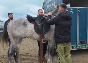 Festimet e 28-29 Nëntorit, bregdeti i Darëzezës shndërrohet në një arenë garash me kuaj