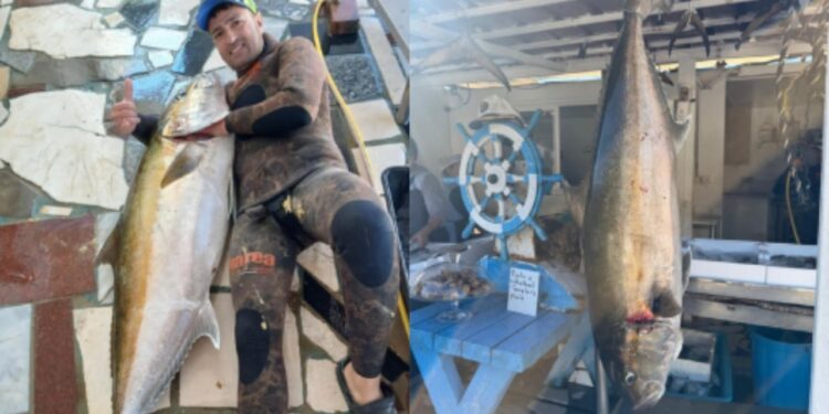 Gara e qetë mes peshkatarëve në Vlorë: një peshk gjigant prej 35 kg kapet sërish.