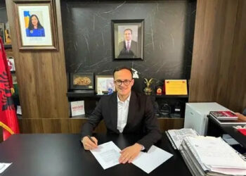 Hyseni: Po përgatisim shumë aktivitete dhe iniciativa të reja për diasporën.