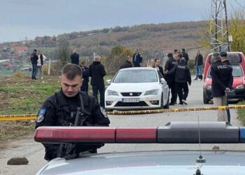 I dyshuari për vrasjen e dy vëllezërve në Malishevë është arrestuar.