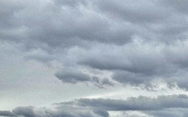 I'm unable to access the link you've provided, but if you share the title or main topic with me, I can help you rephrase it!