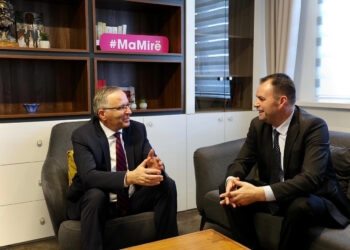 Iniciativa Qytetare "Demokracia" e Demaliajt bashkohet me PDK-në