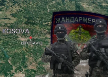 Ish-zëvendësministri Radomiroviq pretendon se ka qenë dëshmitar në rastin e rrëmbimit të serbit: Grupi i Radoiçiqit ishte përgjegjës.