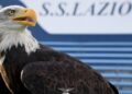Lazio ‘rikthen fluturimin’, prezantohet shqiponja e re bardhë dhe kaltër…