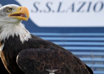 Lazio ‘rikthen fluturimin’, prezantohet shqiponja e re bardhë dhe kaltër…