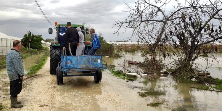Lumi Seman del nga shtrati, shkatërrohen mijëra hektarë serë me perime, banorët: Dëmet kapin miliona.