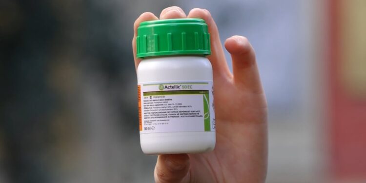 Mandarina e helmatisur, AKU hesht: Analizat vërtetojnë se sasia e shitur në Tiranë ishte kancerogjene.