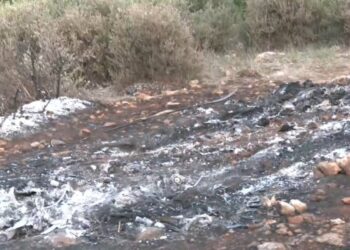 Misteri i trupit të djegur në një makinë në Athinë: Policia njofton se mjeti ka qëndruar atje për më shumë se 48 orë, identifikimi sfidohet nga karbonizimi.