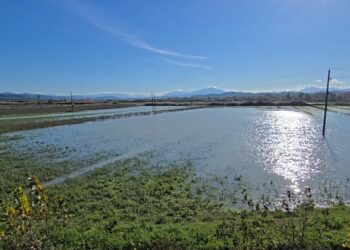 Mot i keq në Fier, 80 hektarë tokë bujqësore të përmbytura, banorët kërkojnë ndihmën e bashkisë