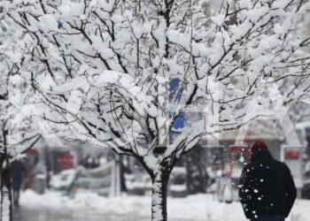 Moti i javës: Shi për të mërkurën, borë për të enjten dhe të premten