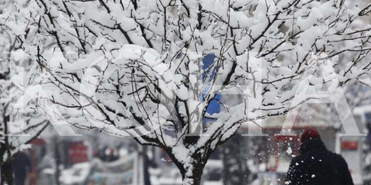 Moti i javës: Shi për të mërkurën, borë për të enjten dhe të premten