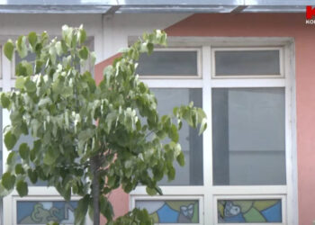 Nxënësi nga Prizreni goditet me thikë