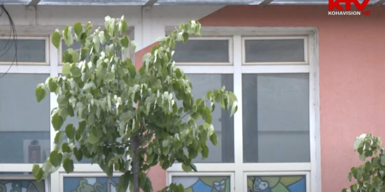 Nxënësi nga Prizreni goditet me thikë