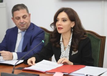 "Ofensivë diplomatike e fuqishme për Shqipërinë në rrugën drejt BE-së", Spiropali: Viti 2026 do të jetë vendimtar për integrimin evropian.