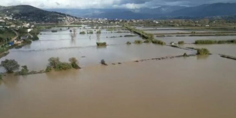 Pas përmbytjeve, ujërat fillojnë të tërhiqen në disa zona; ja si është situata në Kukës dhe Fier.