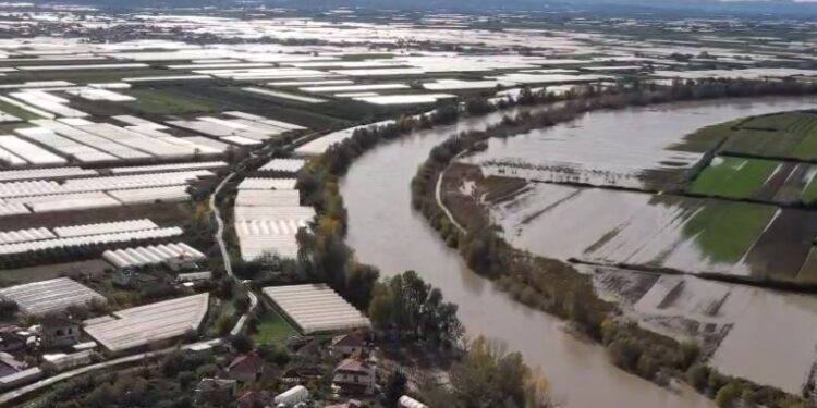 Përmbytja në Goriçan të Dimalit: Top Channel publikon pamje me dron, serrat nën ujë për pesë ditë.