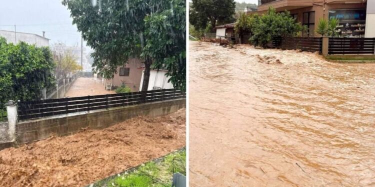 Plaga e rëndë “godet” Greqinë perëndimore, shumë zona pa energji elektrike/ Disa bashki shpallin emergjencën.