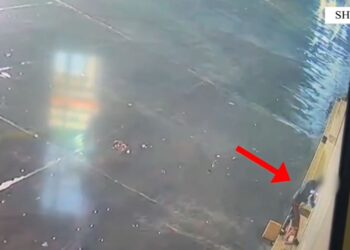 Policia arreston 27-vjeçarin pas zbulimit të shumave të mëdha parash dhe objekteve me vlerë në bizneset e Shijakut.