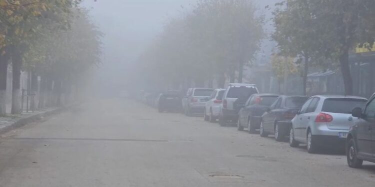 Punonjësi i burgut të Fierit, 32-vjeçar, kapet në Tiranë; arrestohen edhe 4 të tjerë që e ndihmuan të fshihej.