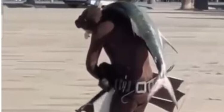 Rrallëherë në Vlorë: Peshkaqeni 24 kg, peshkatari e hedh mbi sup dhe shëtit në bregdet